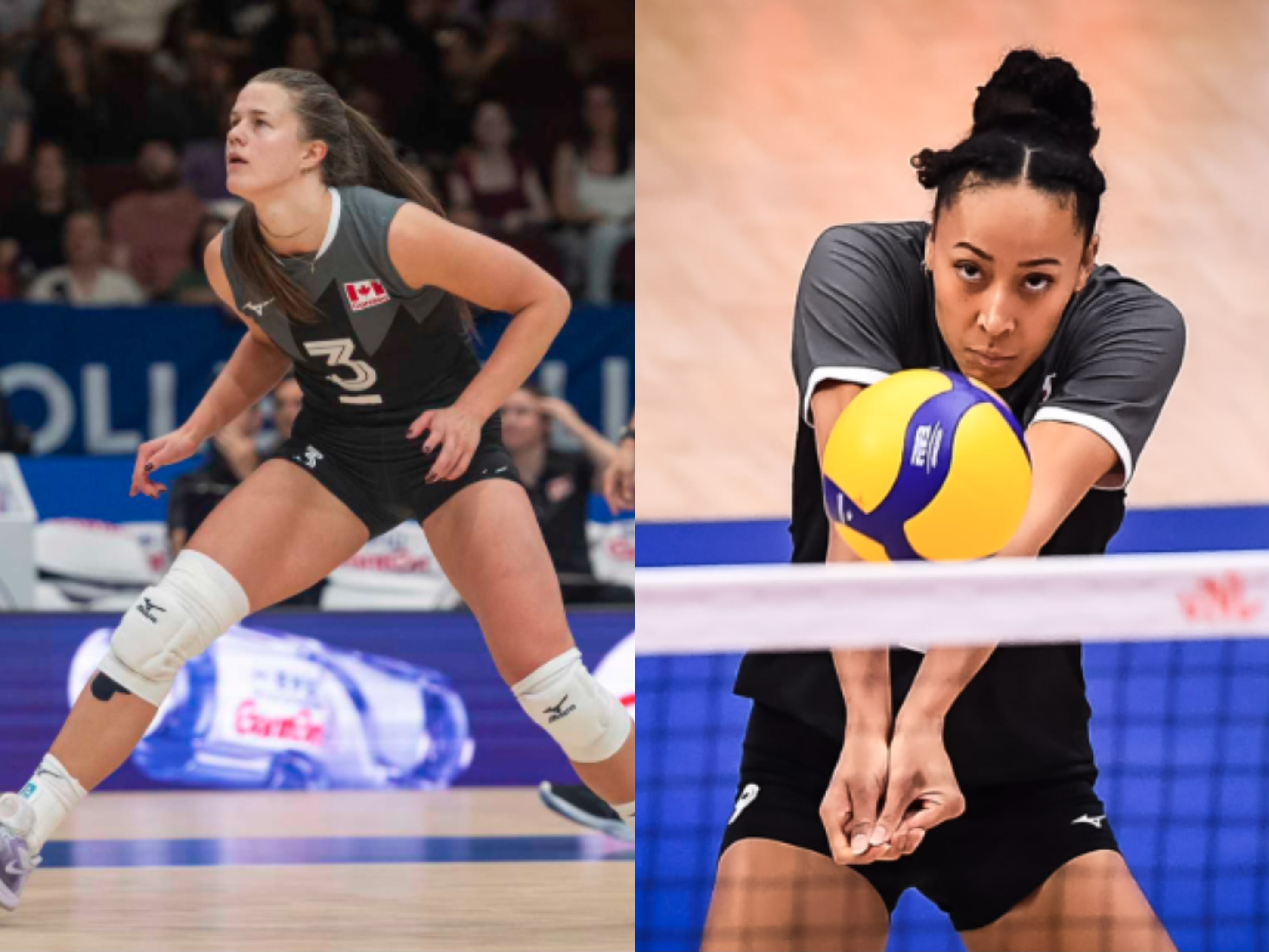 Van, 助教阵容辅 Van, 助教阵容辅