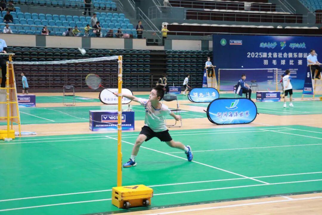 羽冠摇篮, 和优秀的竞, 技素养